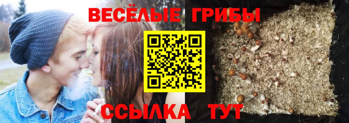 Псилоцибиновые грибы ЛСД  Псилоцибиновые грибы GOLDEN TEACHER  Чебаркуль  Вход с VPN 